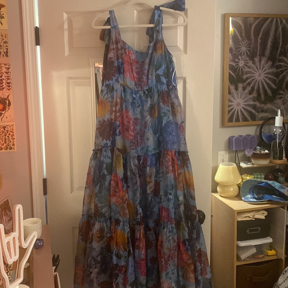 Audrey Parks x Francesca’s Floral Maxi Dress